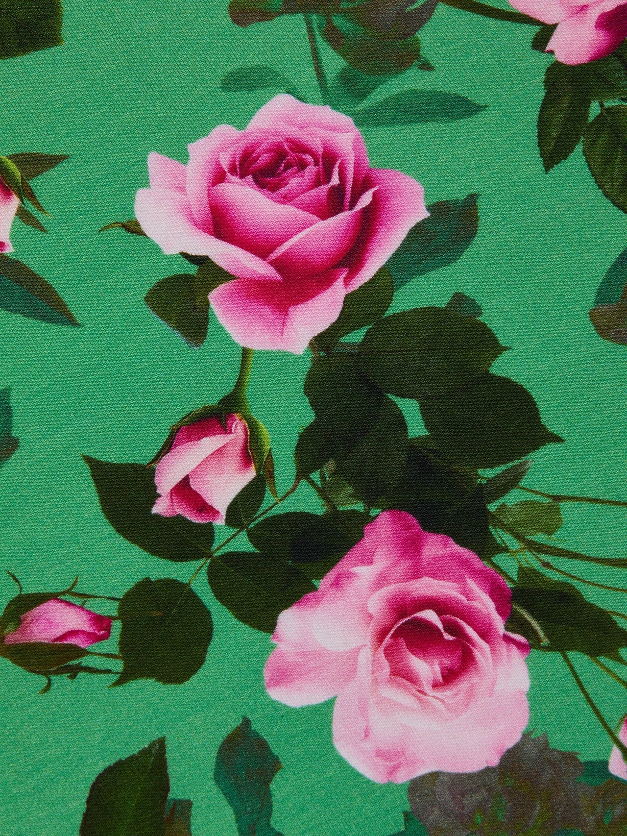 Ressi Fitted Tee in Green Multi Santa Fe Rose | L'AGENCE online